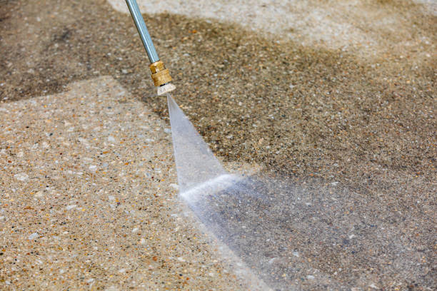 Animal Enclosure Cleaning in Greenfield, IN